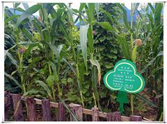 豪门国际·(中国游)官方网站