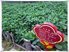 豪门国际·(中国游)官方网站