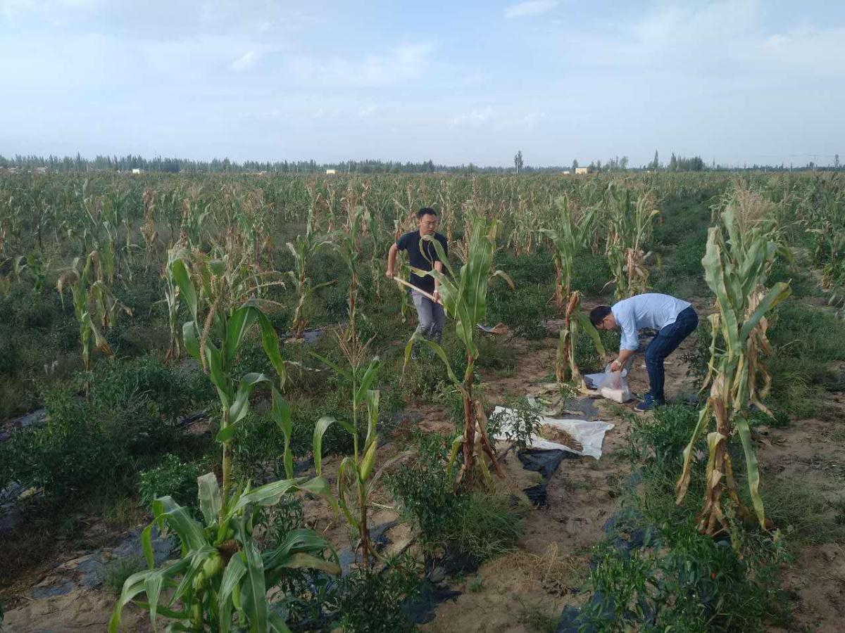豪门国际·(中国游)官方网站