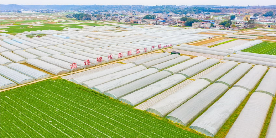 豪门国际·(中国游)官方网站
