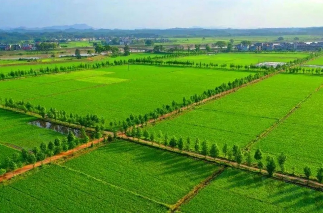 豪门国际·(中国游)官方网站