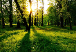 豪门国际·(中国游)官方网站