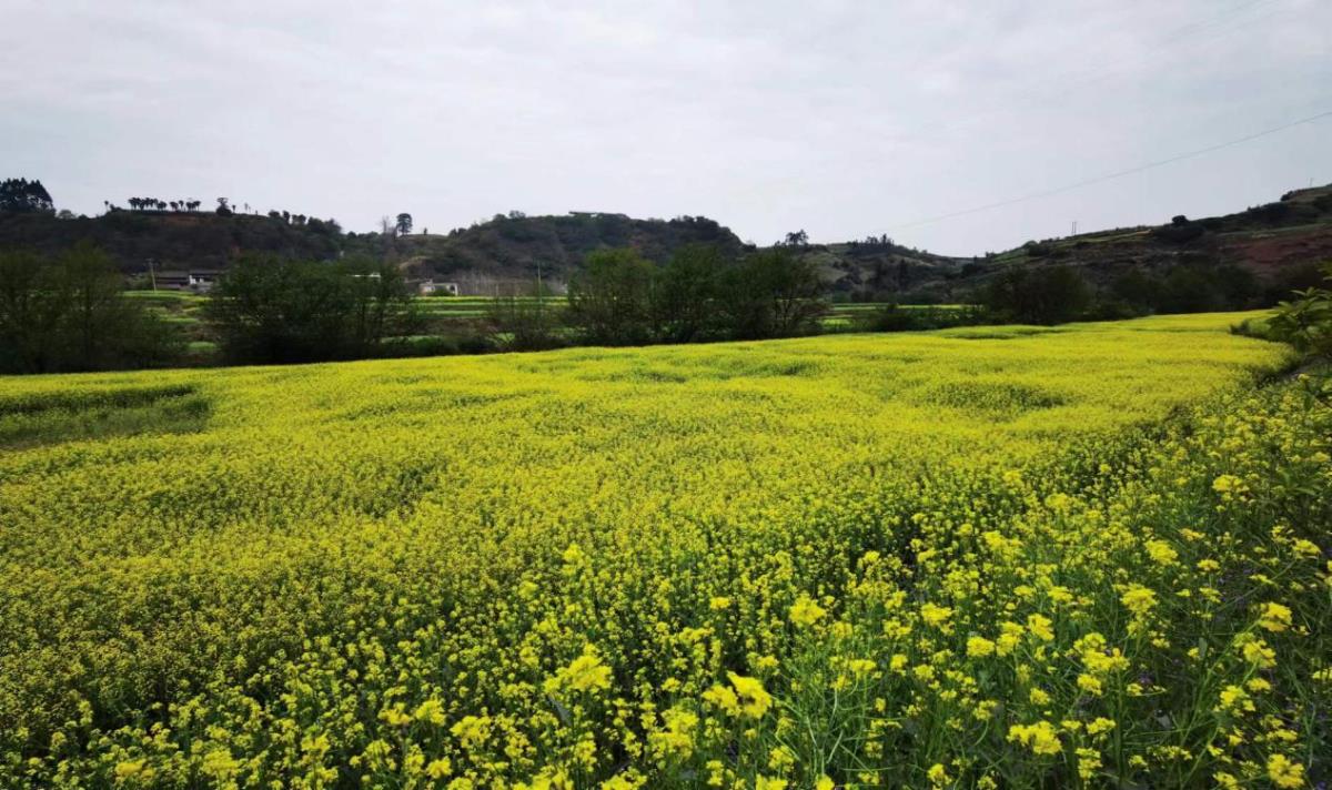豪门国际·(中国游)官方网站