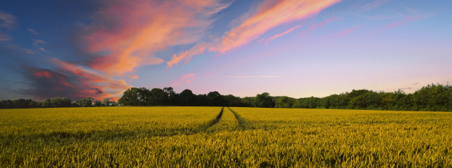 豪门国际·(中国游)官方网站