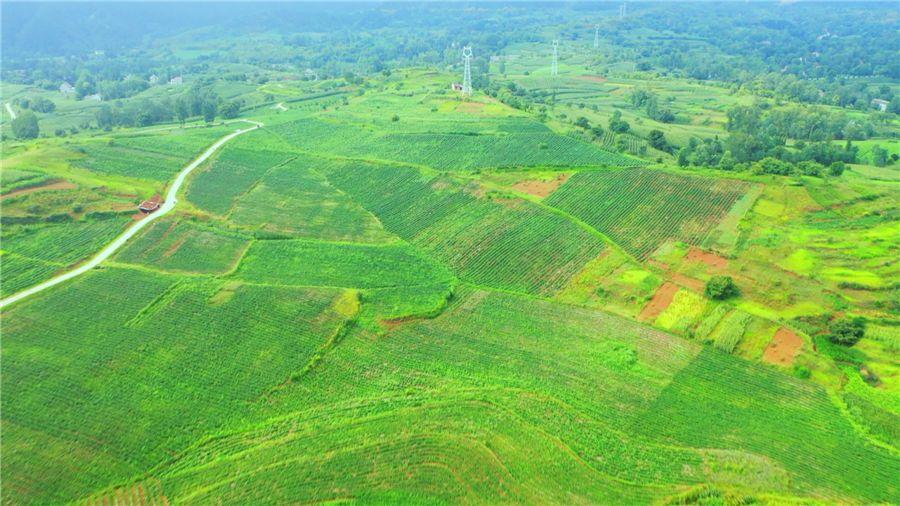 豪门国际·(中国游)官方网站