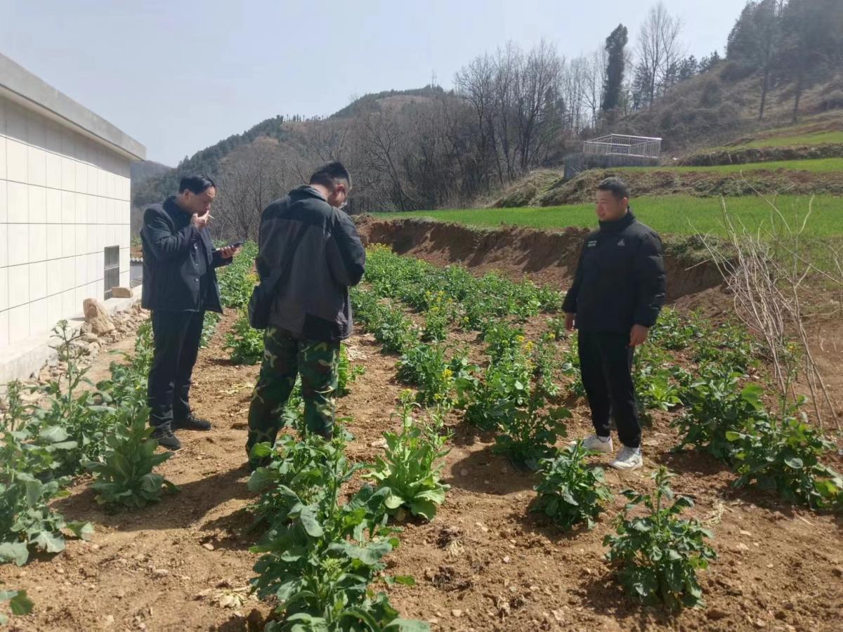 豪门国际·(中国游)官方网站