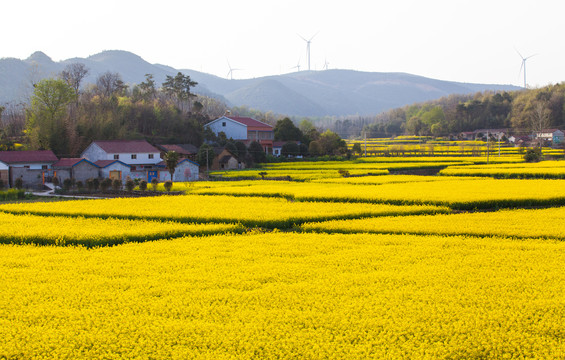 豪门国际·(中国游)官方网站