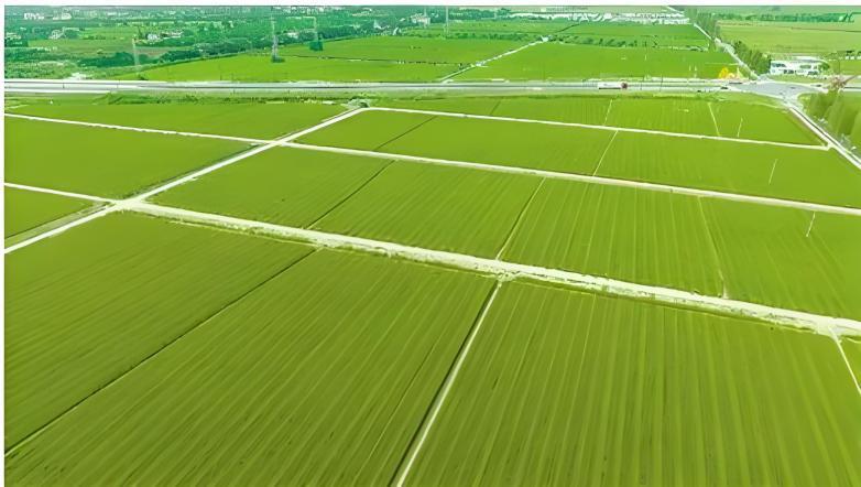 豪门国际·(中国游)官方网站